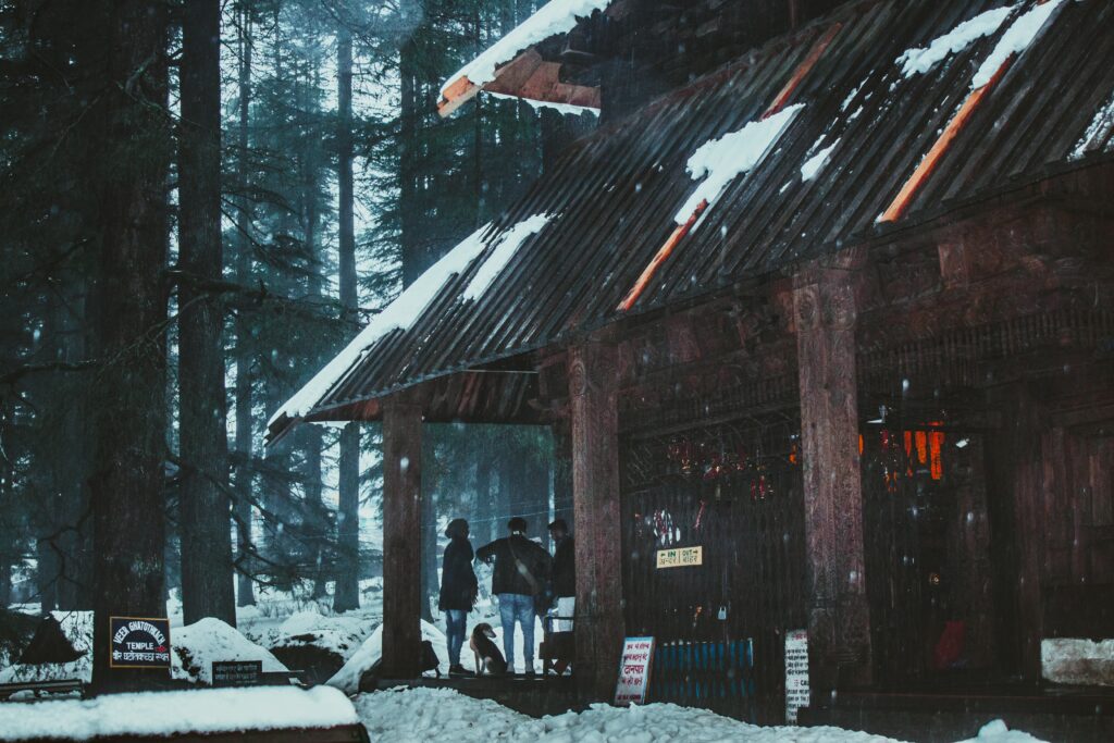 Manali (5)