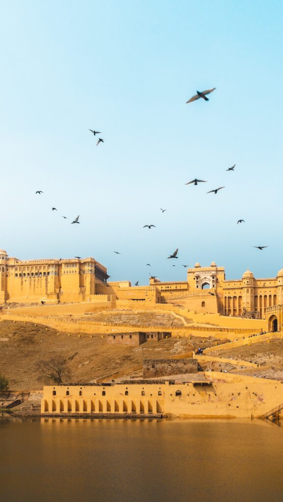 Rajasthan (20)