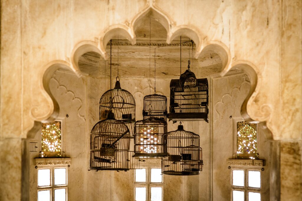 Rajasthan (46)