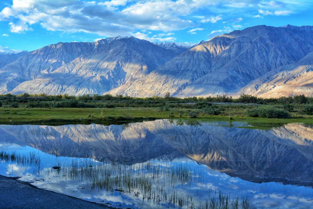 lEH (35)